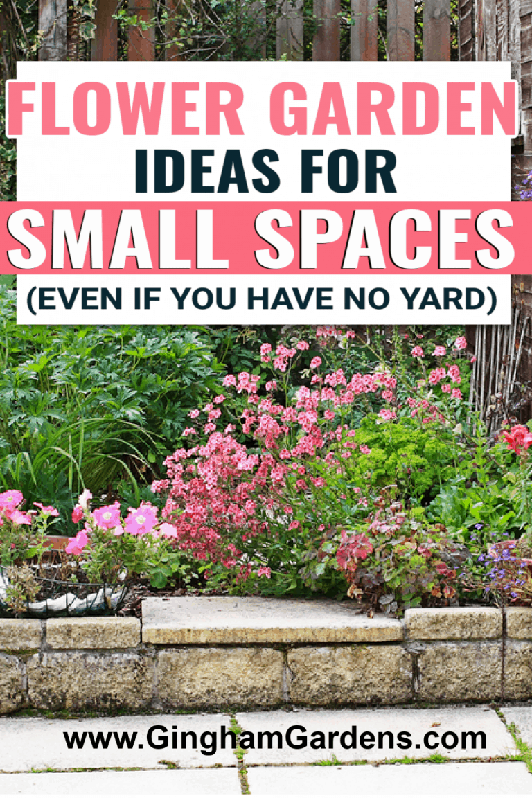 Flower Garden Ideas For Small Spaces - Gingham Gardens