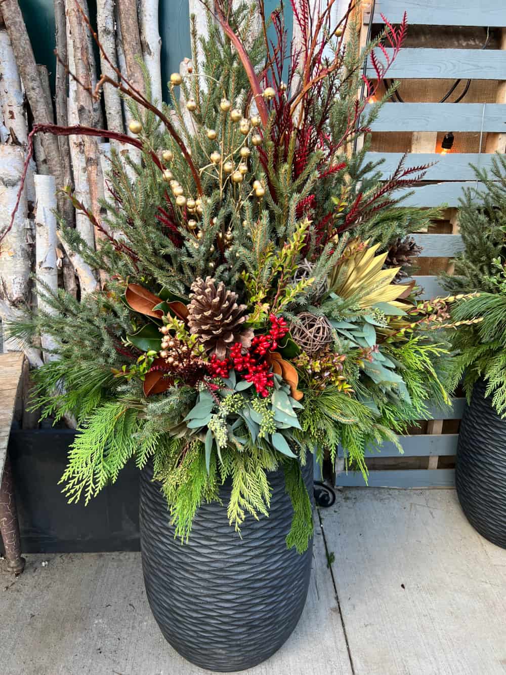 Outdoor Winter Container Garden Ideas and Inspiration