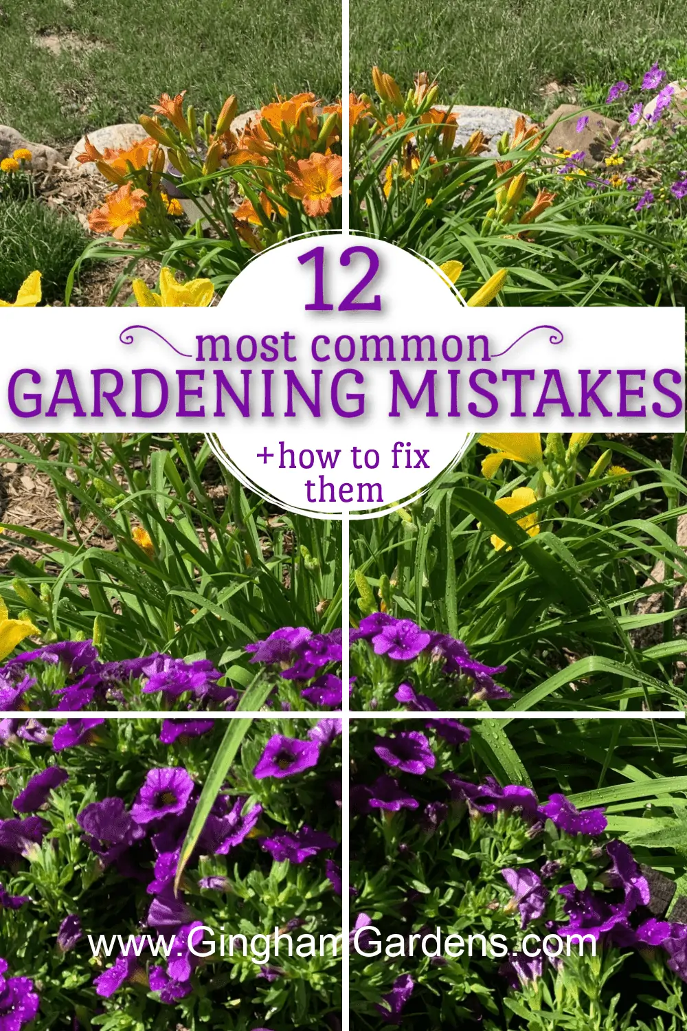 Image of a Flower Garden with text overlay - 12 most common gardening mistakes