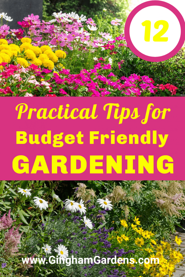 View of 12 Budget Friendly Gardening Tips - Gingham Gardens