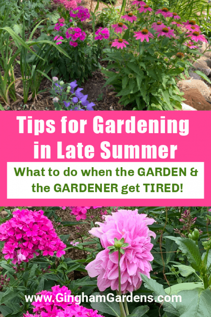 Tips For Gardening in Late Summer (Plus a Garden Tour) - Gingham Gardens