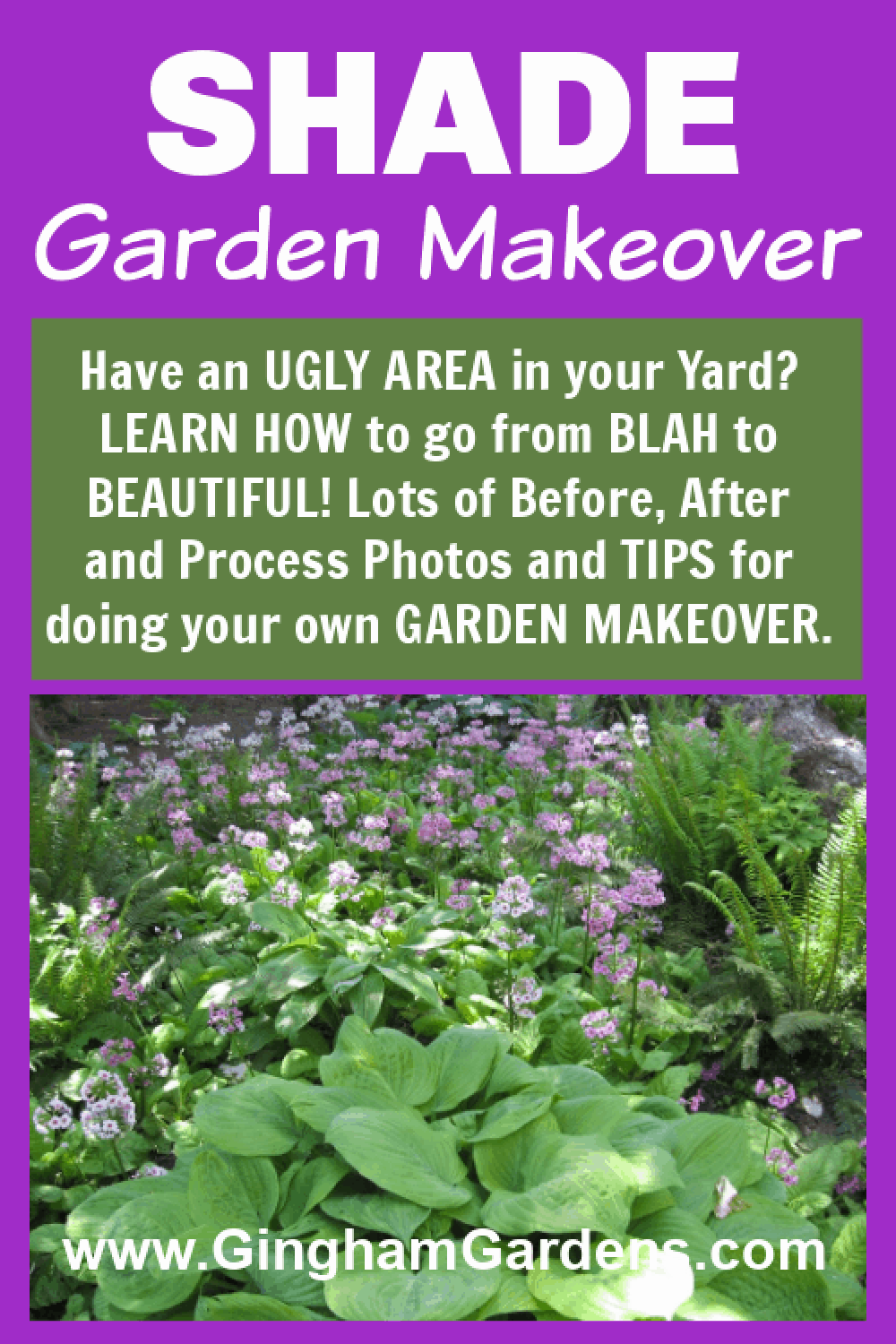 Image of a Shade Garden with text overlay - Shade Garden Makeover