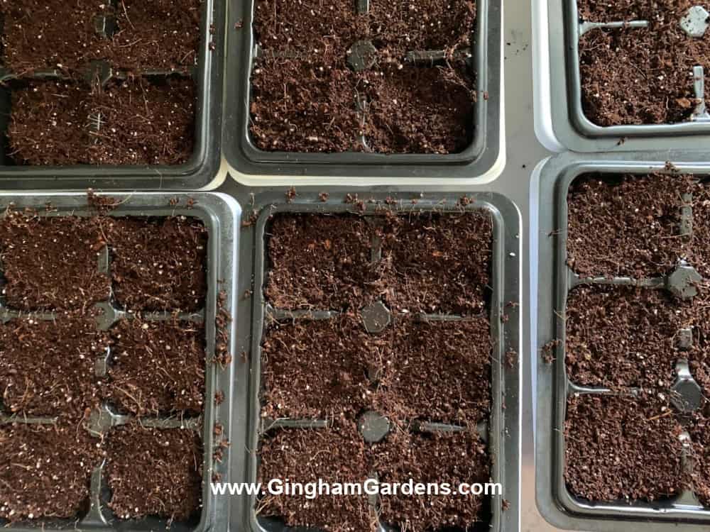 seed starting trays filled with soil