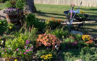 Garden in the Fall with wheelbarrow and gardening tools and supplies