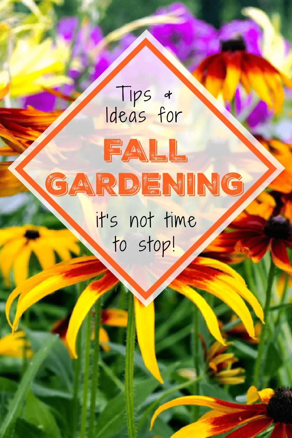 Image of fall flowers with text overlay - Tips and ideas for Fall Gardening