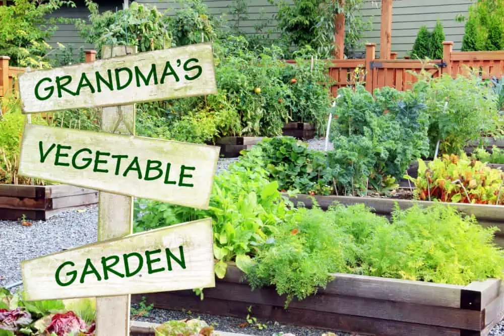Garden sign that says Grandma's vegetable garden