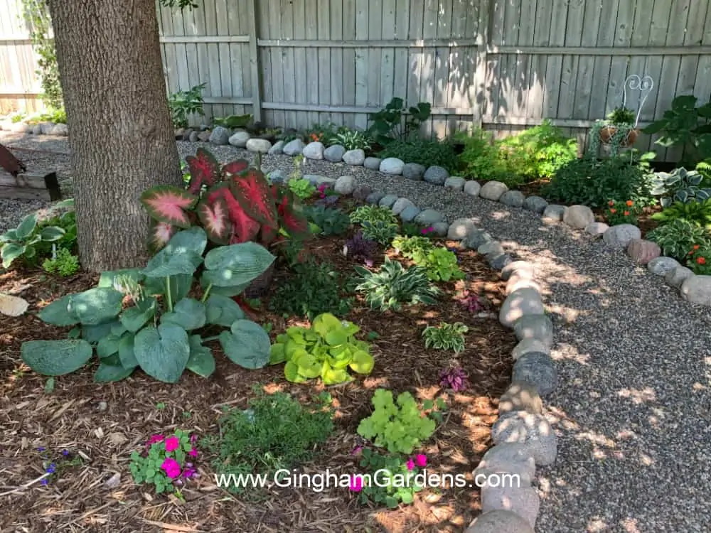 Shade garden with field stone lined pea gravel path.