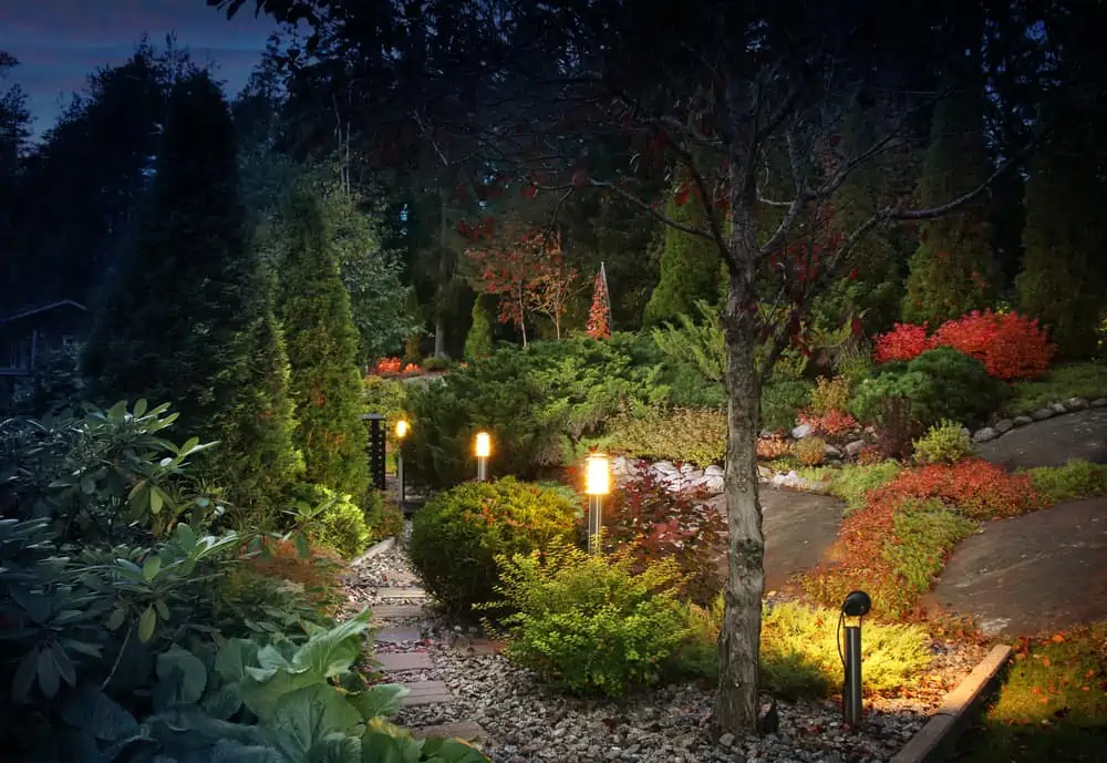 Garden at night with landscape lights