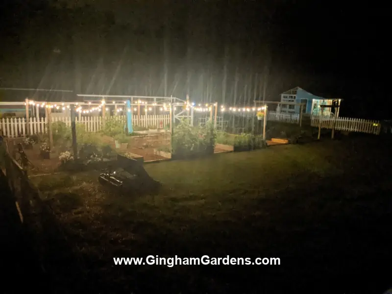 Garden at night with lights