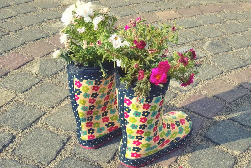 Children's rain boots with flowers planted in them.