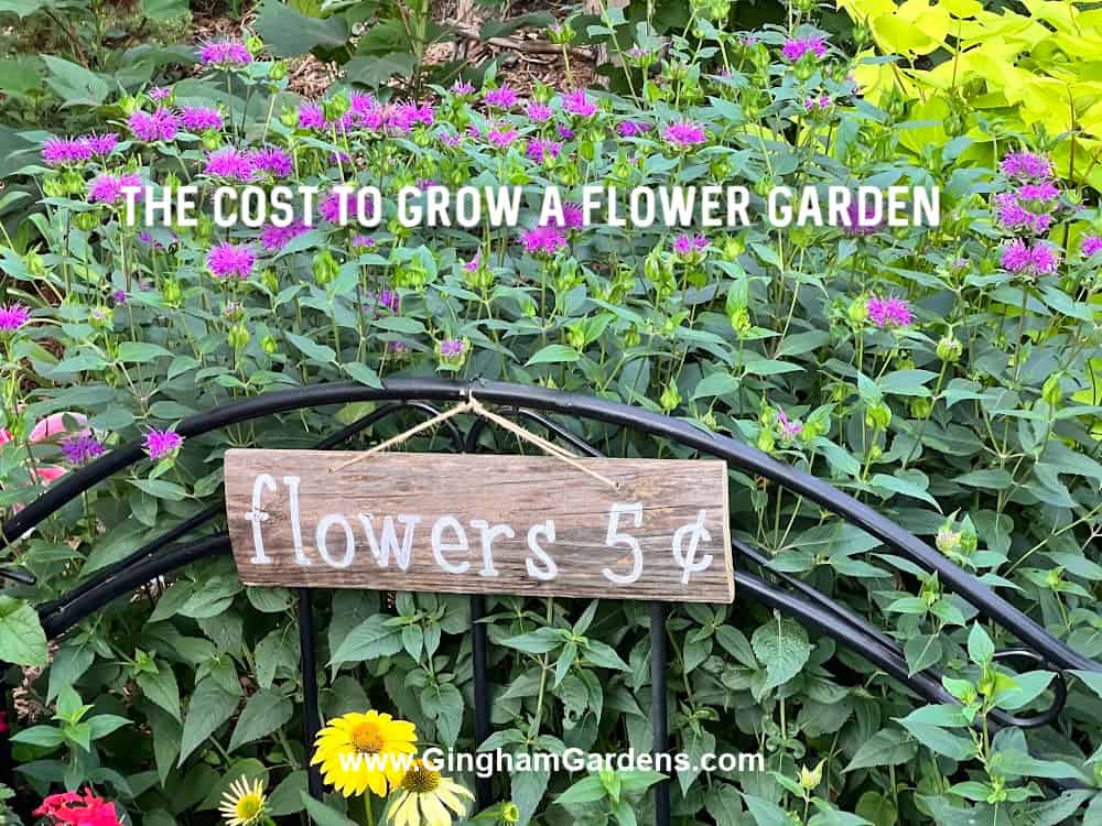 Image of a flower garden with text overlay - The Cost to Grow a Flower Garden