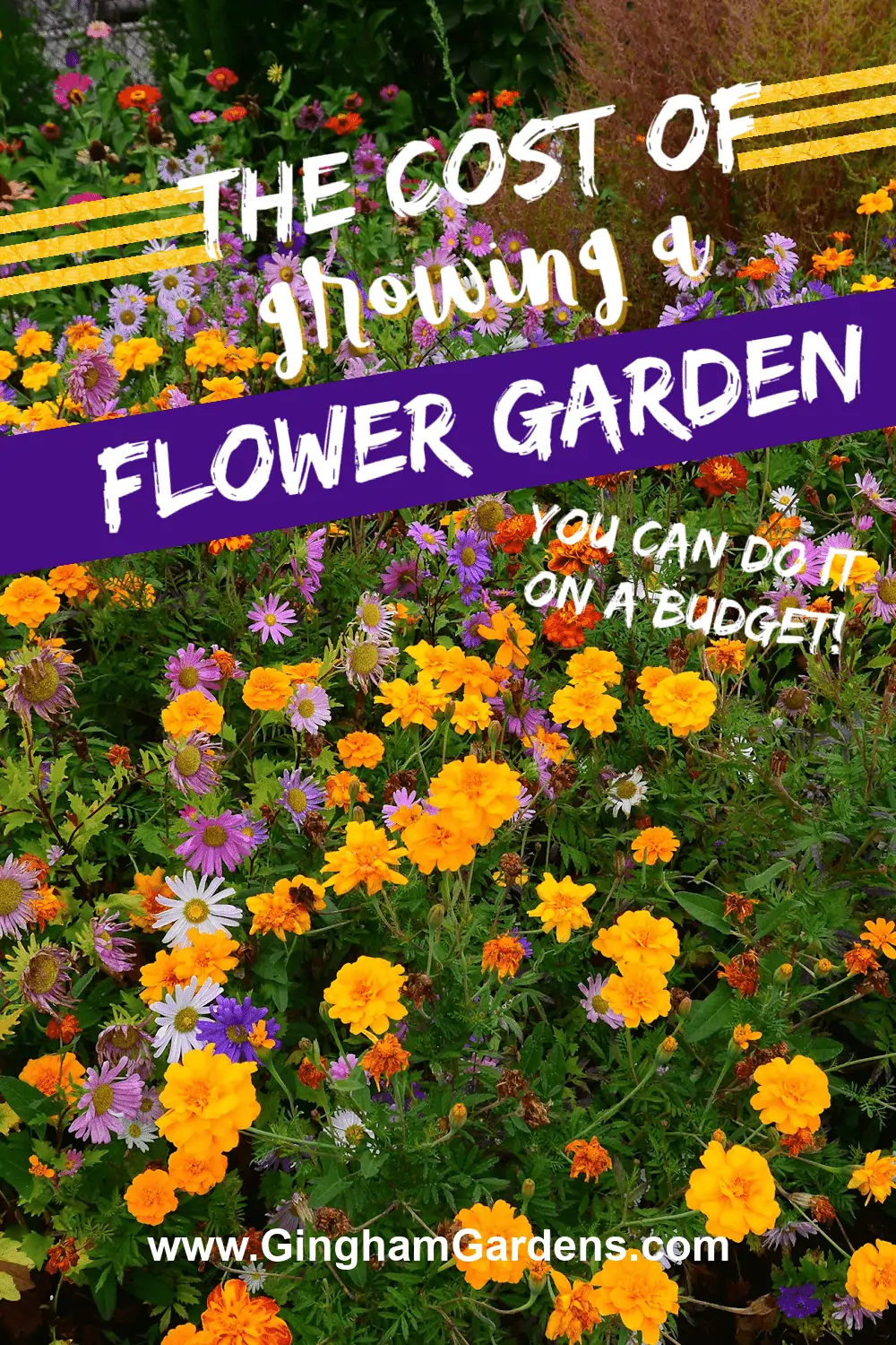 Image of a flower garden with text overlay - The cost of growing a flower garden