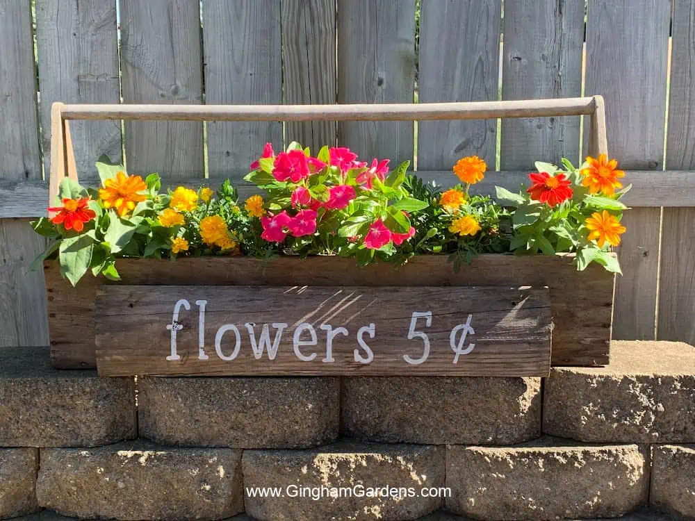 Vintage wood tool box planted with flowers and a garden sign.