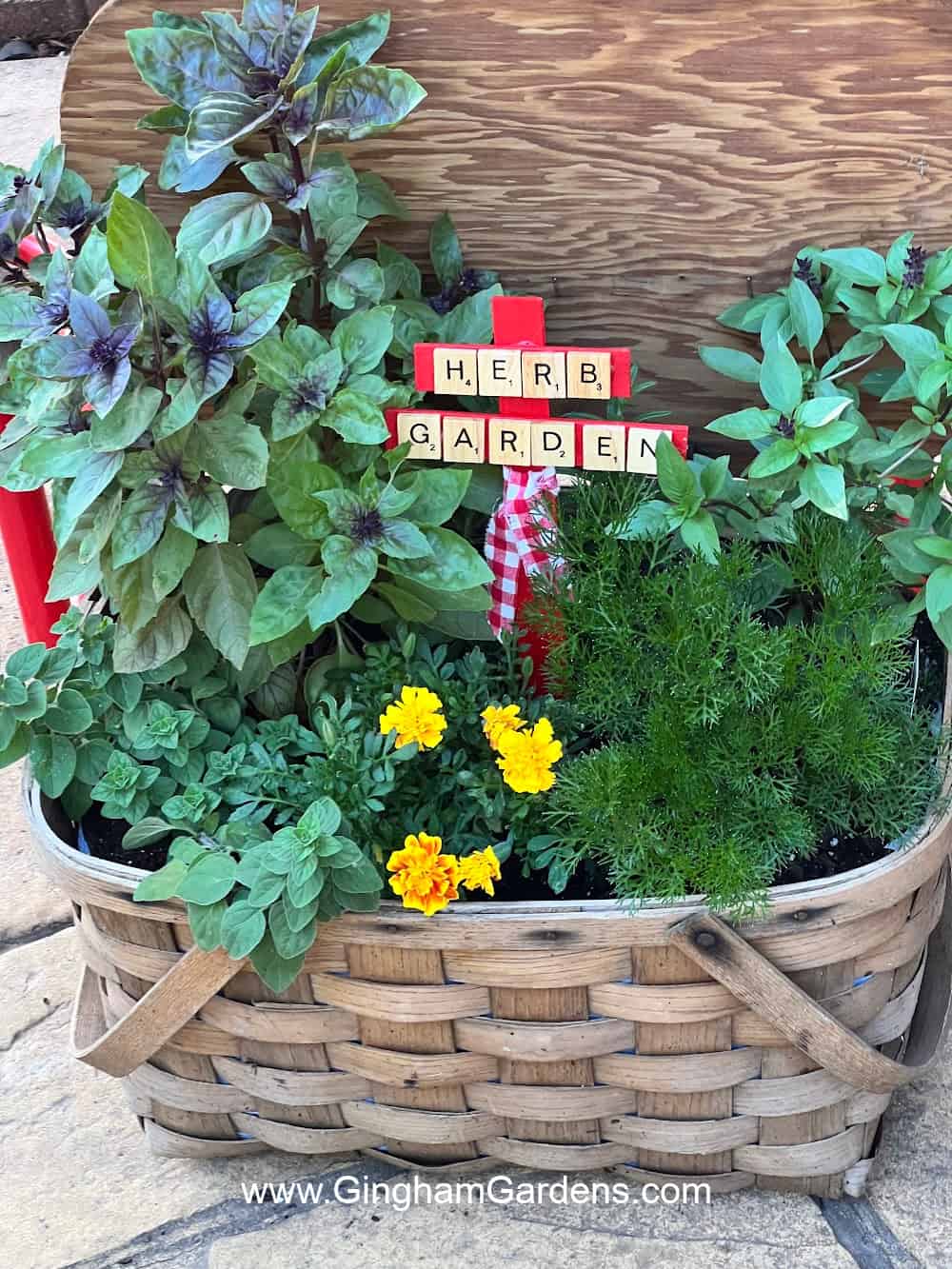 Herb garden planted in a picnic basket with a scrabble tile herb garden sign.