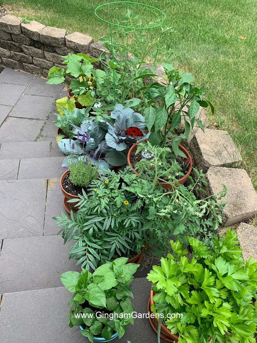https://ginghamgardens.com/wp-content/uploads/2023/02/Small-Vegetable-Container-Garden.jpg