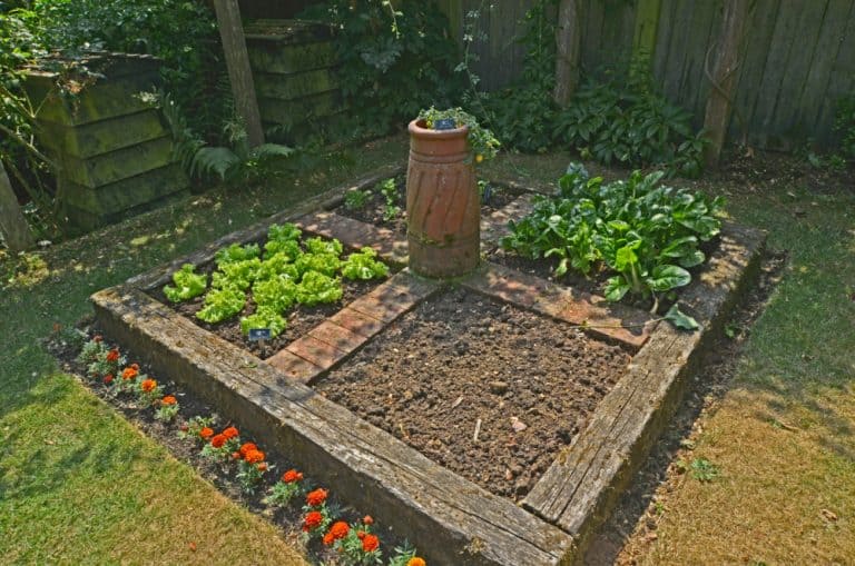 Small raised vegetable garden bed made with timbers and bricks.