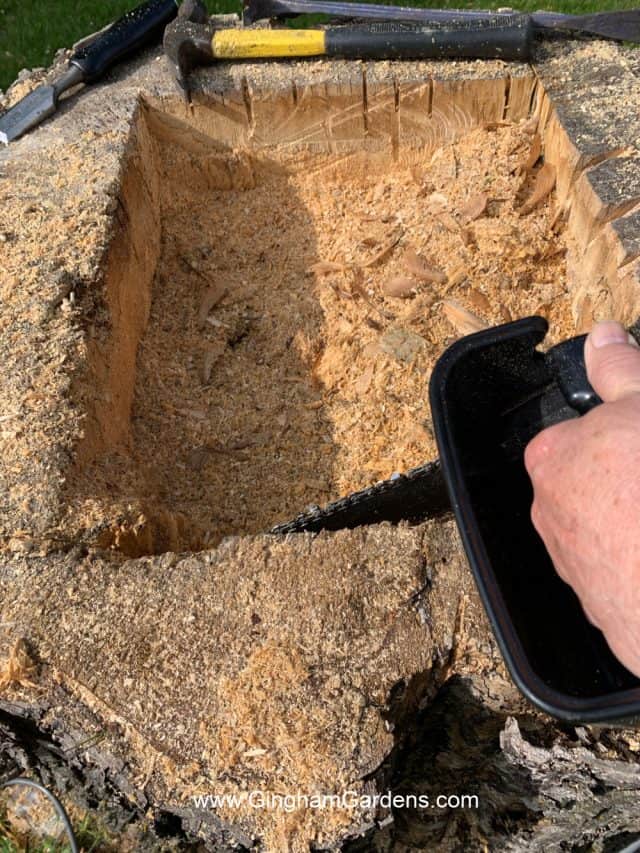 How to Make a Tree Stump Planter (Lots of Creative Ideas) - Gingham Gardens