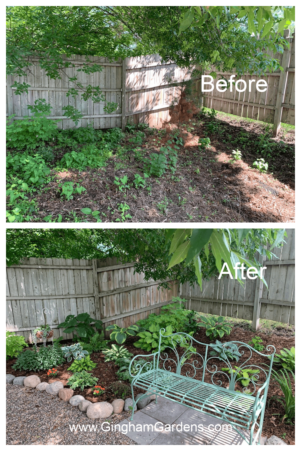 Trimmed hedge after maintenance
