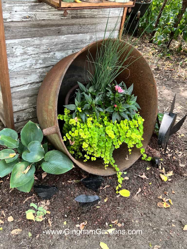 Large cast iron kettle turned on it's side and used as a planter.