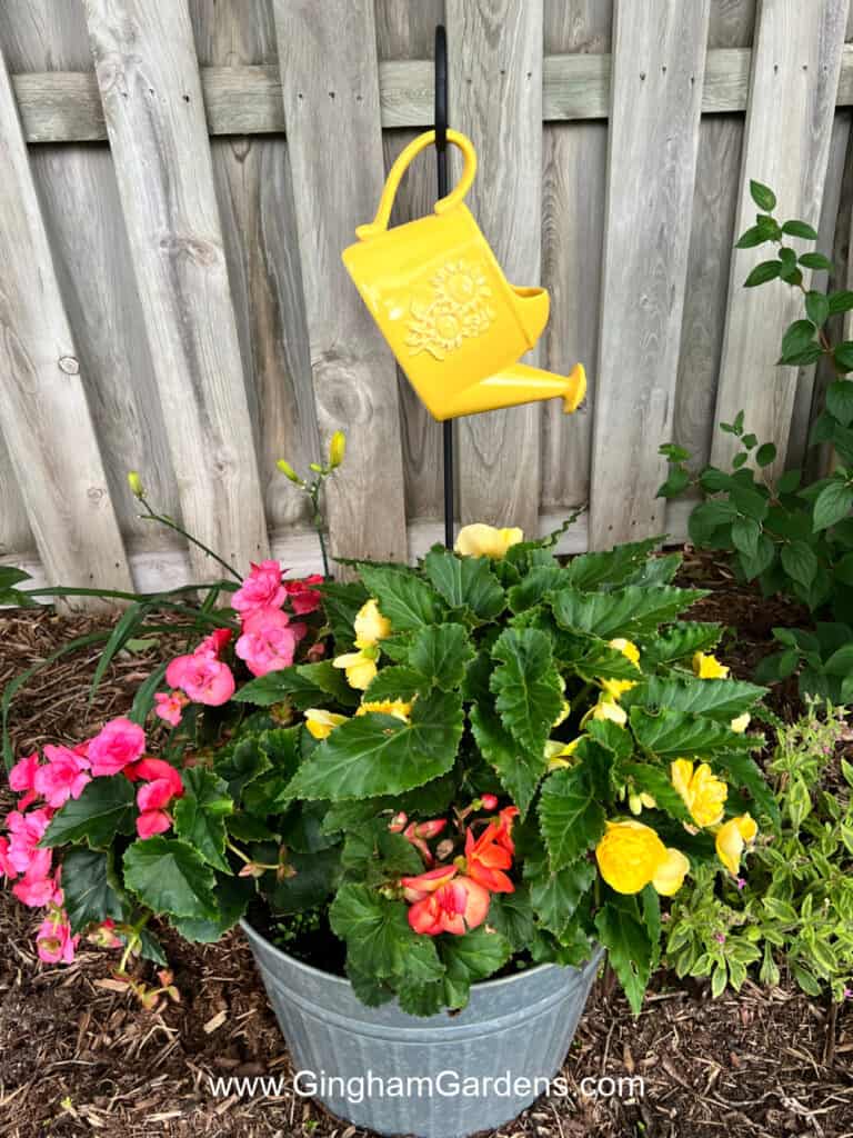 Galvanized bucket with bright colored begonias and a yellow watering can on a stake.
