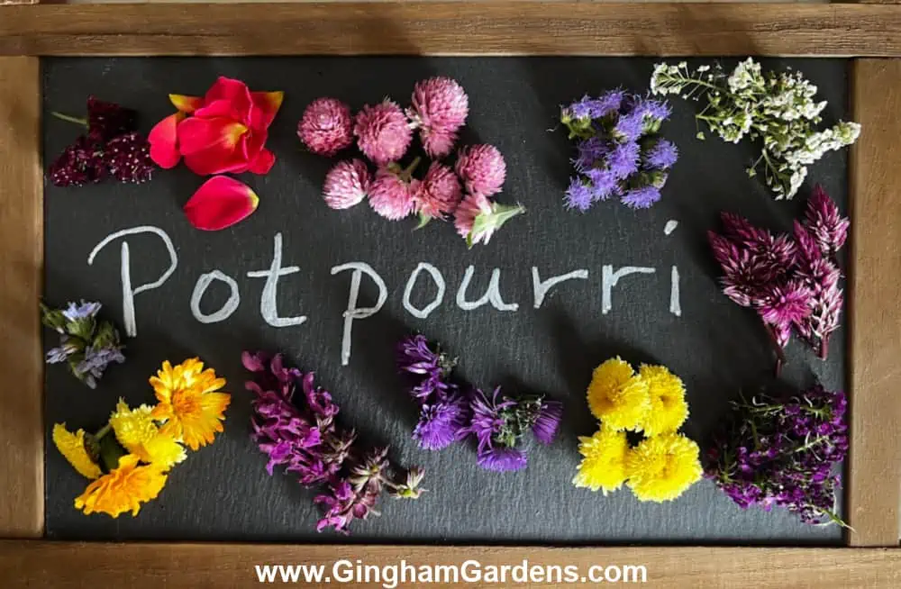 Colorful flower heads sorted on a chalkboard sign with the word Potpourri written in the middle.