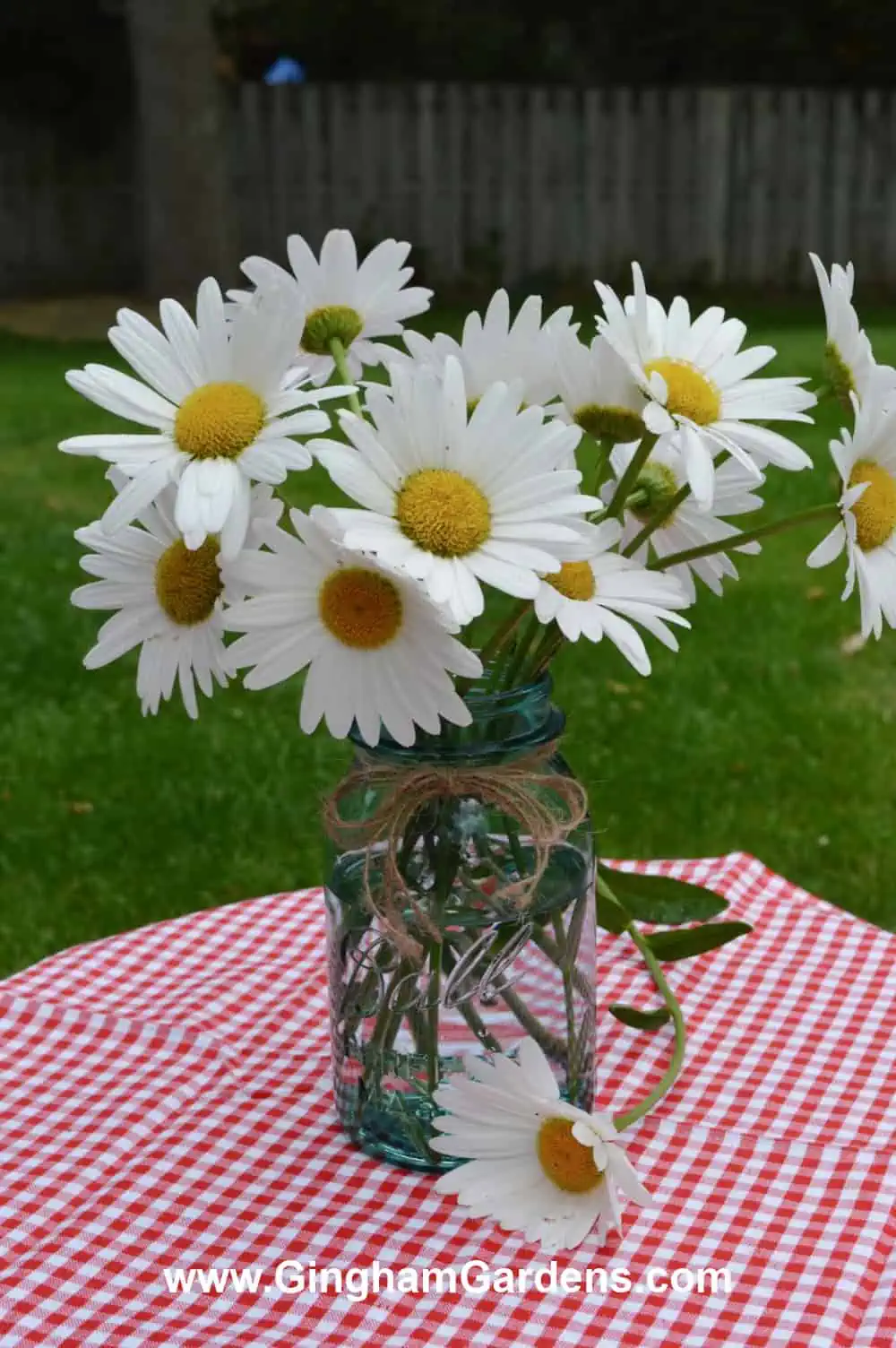 A bouquet of daisies in an antique mason jar.
