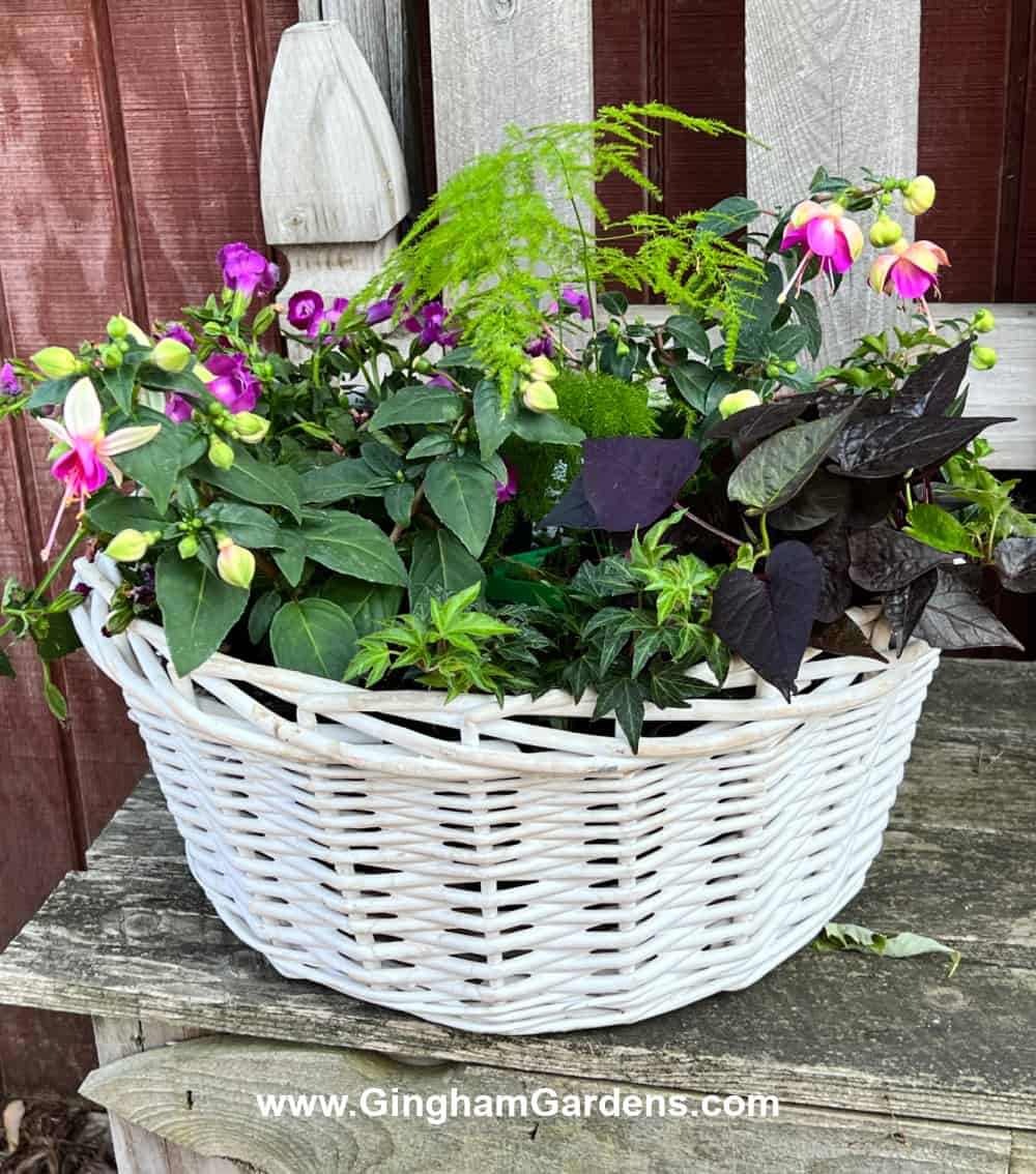 White wicker basket planter with various green plants and flowers.