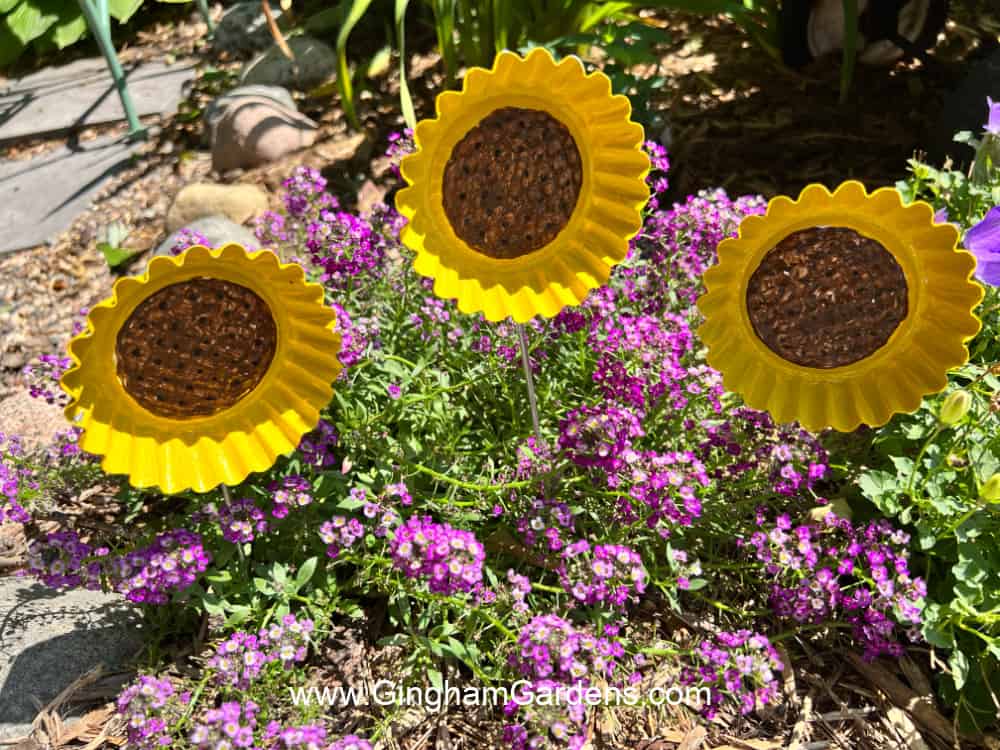 DIY sunflower garden stakes made with tart tins in a flower garden.