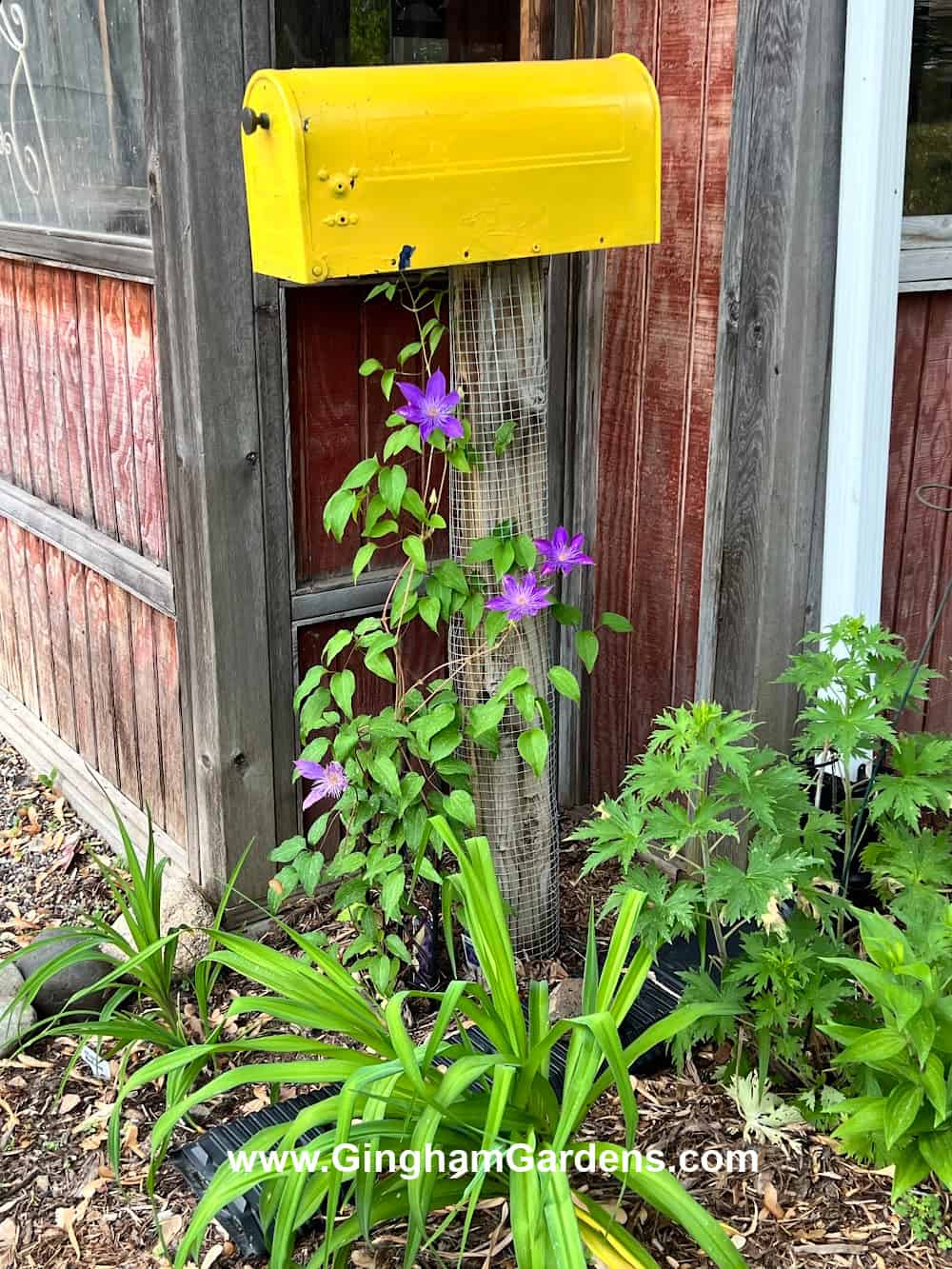 An old mailbox spray painted yellow in a flower garden.