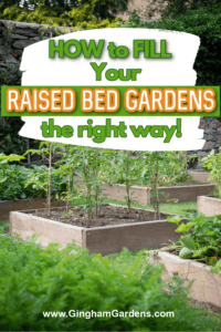 How to Fill Raised Garden Beds (The Right Way) - Gingham Gardens