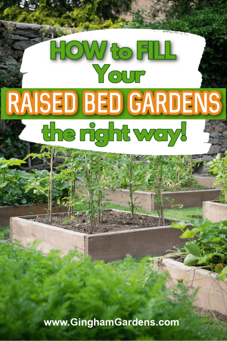 How to Fill Raised Garden Beds (The Right Way) - Gingham Gardens