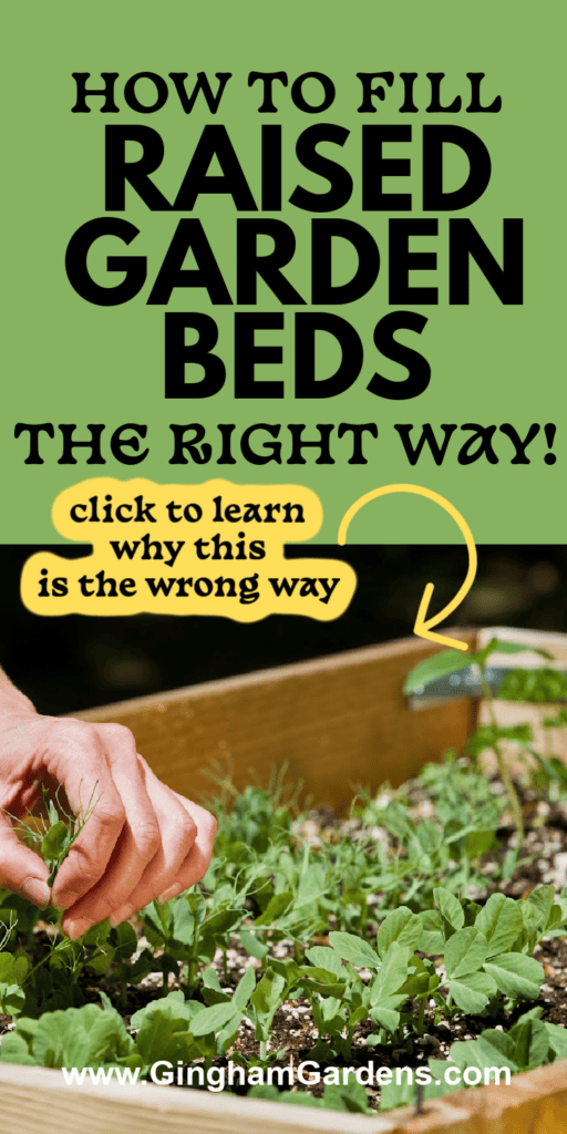 How to Fill Raised Garden Beds (The Right Way) - Gingham Gardens