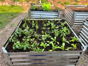 How to Fill Raised Garden Beds (The Right Way) - Gingham Gardens