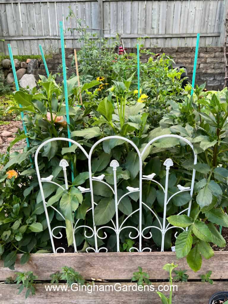 How to Fill Raised Garden Beds (The Right Way) - Gingham Gardens