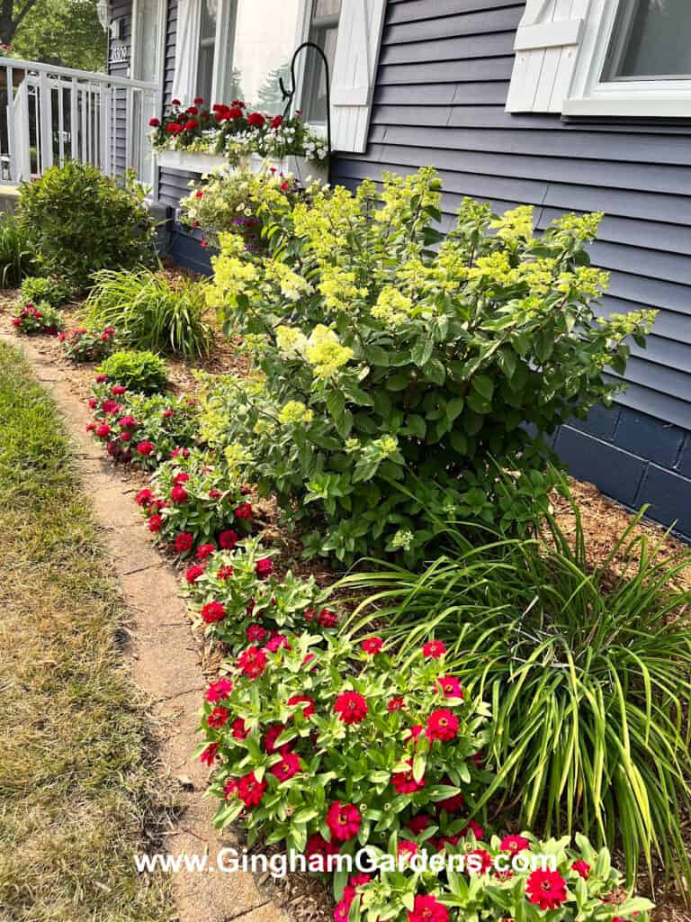 Growing a Front Yard Flower Garden (Tips & Ideas) - Gingham Gardens